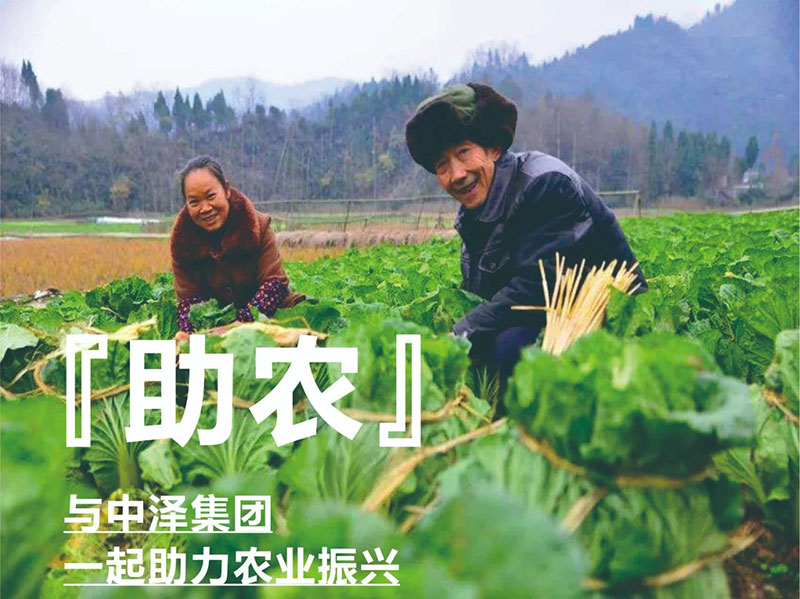 爱心助农，，，，，，，，佰福国际在行动