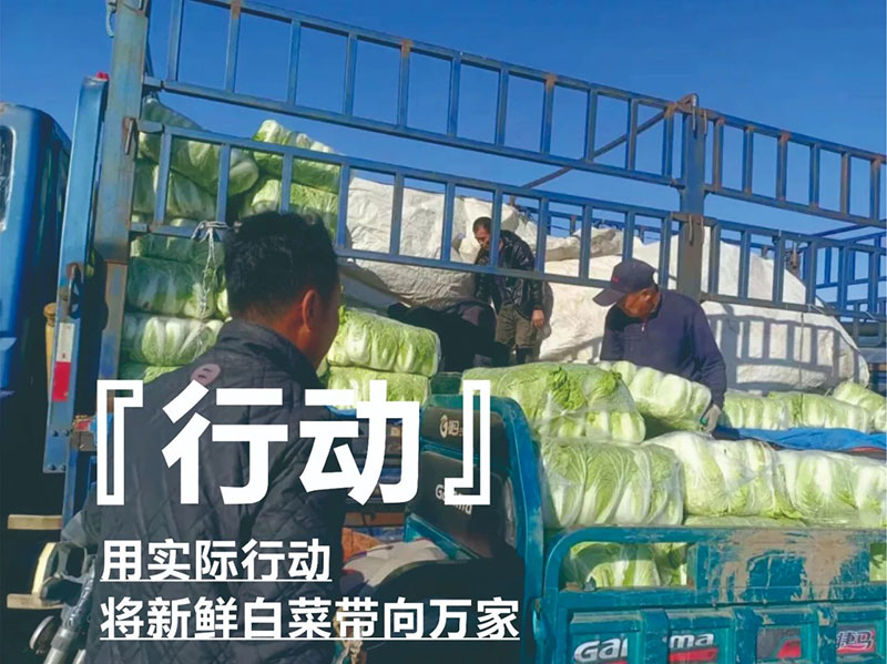 爱心助农，，，，，，，，佰福国际在行动